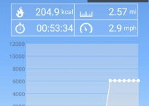 google fit pedometer