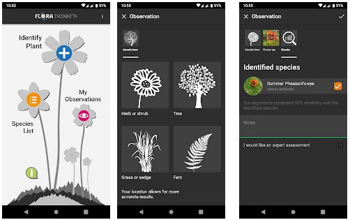 Flora Incognita - Best app to identify plants