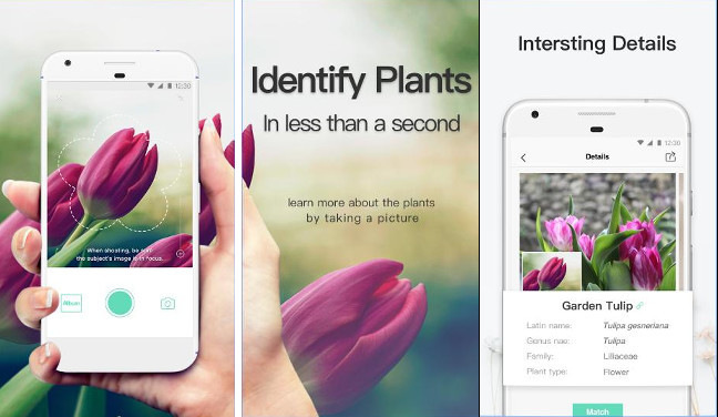 PictureThis - app to identify plants and trees