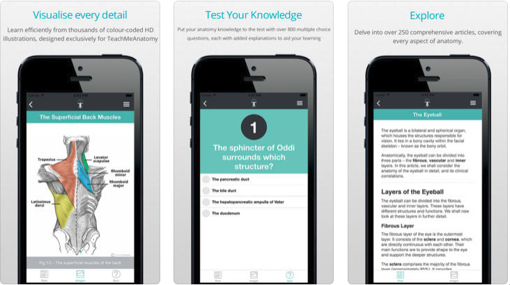 Teach Me Anatomy app