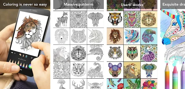 Animal Coloring Book